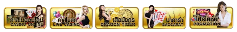 paymax24 ทางเข้า